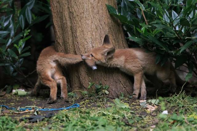Acid Picdump (145 pics) Acid Picdump (145 pics)