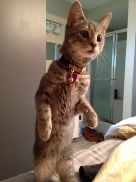 Acid Picdump (145 pics)