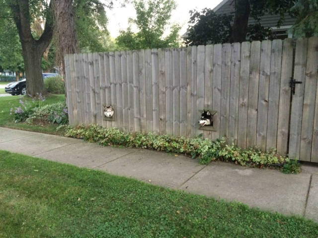 Acid Picdump (145 pics)