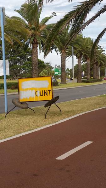 Acid Picdump (145 pics)