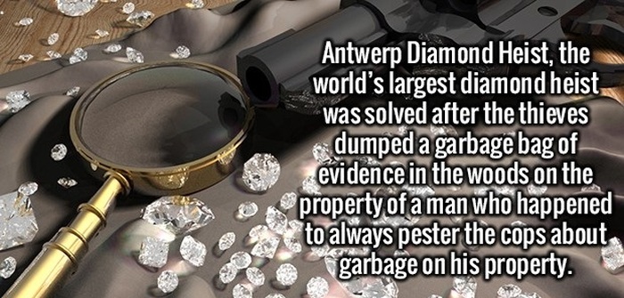 Awesome And Fun Facts About Anything And Everything (27 pics)
