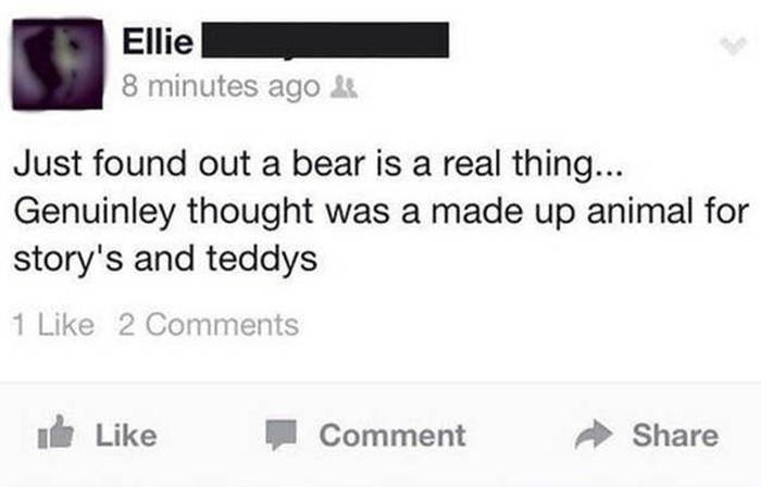 Facebook Brings Out The Best And Worst In People (29 pics)