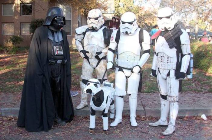Acid Picdump (152 pics)