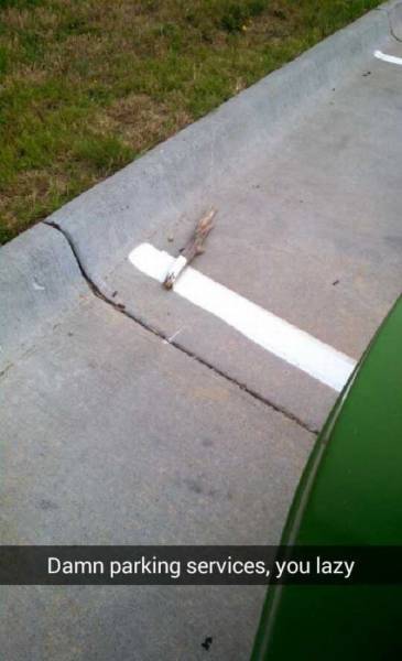Acid Picdump (152 pics)