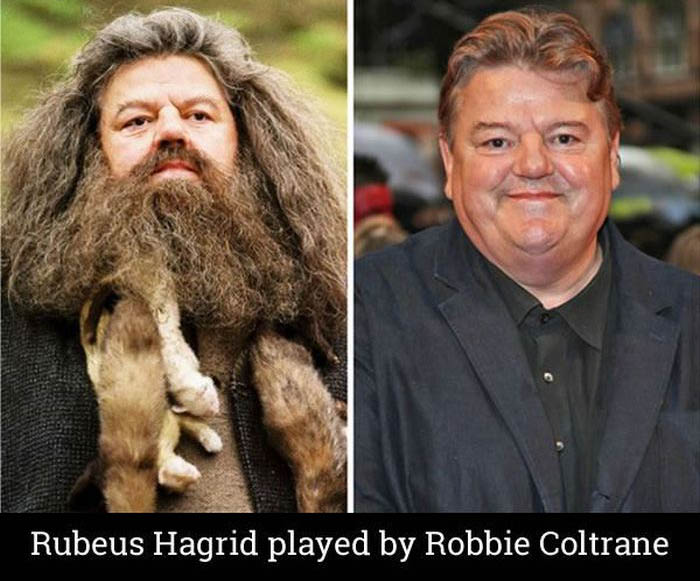 See What The Cast Of Harry Potter Looks Like 14 Years Later (22 pics)