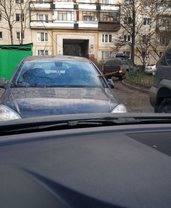 Strong Wind In Moscow Totals A Car Windshield (2 pics)