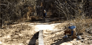 Chun-Li From Street Fighter Is The Force Behind All These Fails (12 gifs)