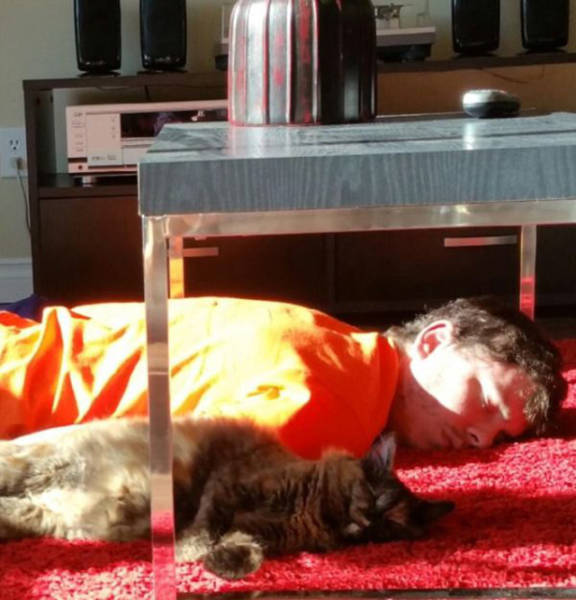 Alcohol Helps Create Fun Nights And Miserable Mornings (50 pics)