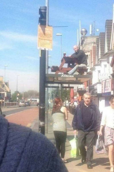 Alcohol Helps Create Fun Nights And Miserable Mornings (50 pics)
