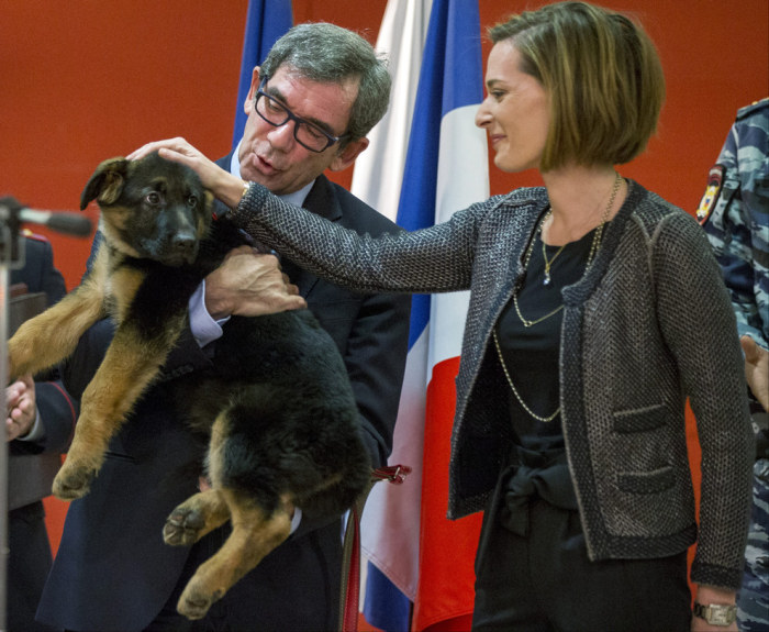 Russia Gives Paris A Puppy In Response To Recent Attacks (5 pics)