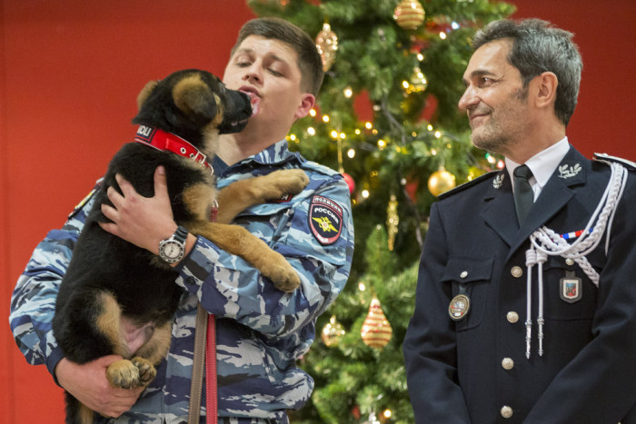 Russia Gives Paris A Puppy In Response To Recent Attacks (5 pics)
