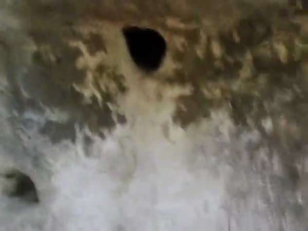 Man Reaches Into A Hole And Pulls Out A Nightmare