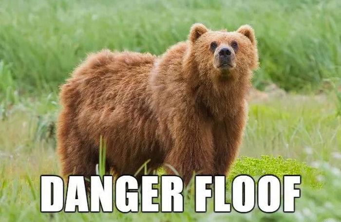 Alternate Names For Animals That We Should Consider Using (29 pics)