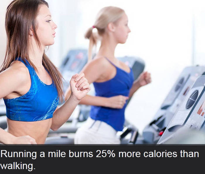 Cool And Interesting Facts That Will Give Your Brain The Education It Craves (14 pics)