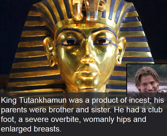 Cool And Interesting Facts That Will Give Your Brain The Education It Craves (14 pics)