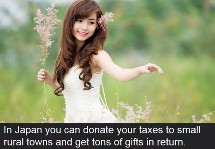 Cool And Interesting Facts That Will Give Your Brain The Education It Craves (14 pics)