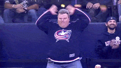 Hockey Has The Craziest Fans In All Of Sports (14 gifs)