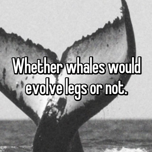 The Most Ridiculous Reasons Why Couples Got Into Fights (17 pics)