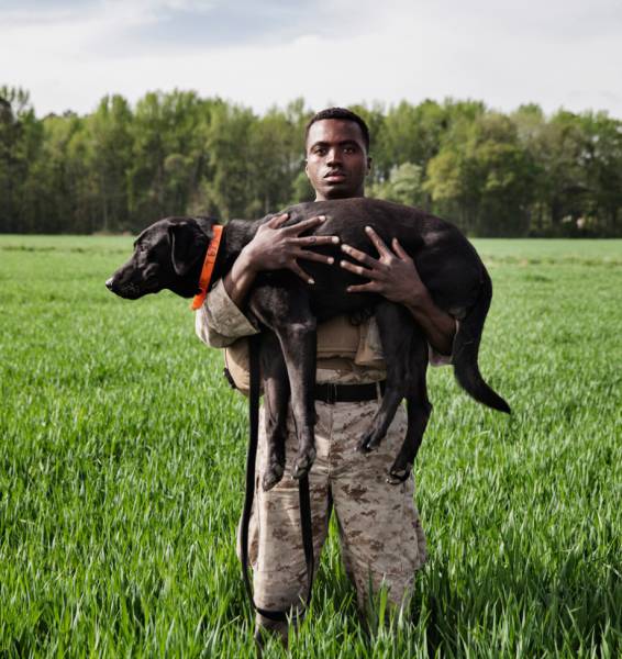 A Day Inside The Life Of A Military Dog (73 pics)
