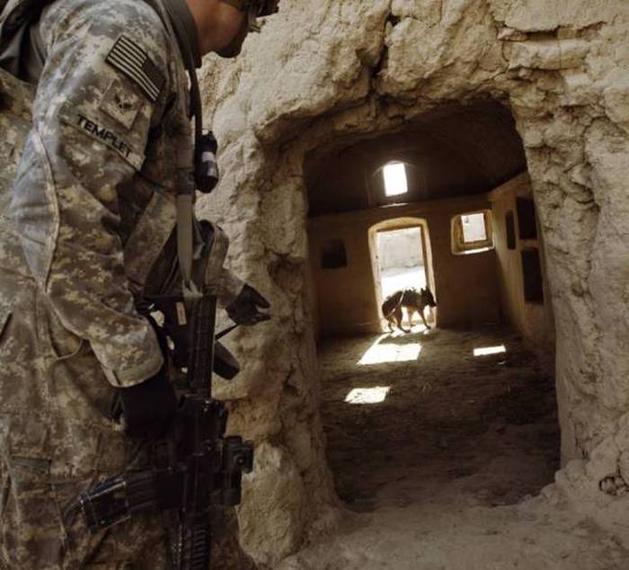 A Day Inside The Life Of A Military Dog (73 pics)