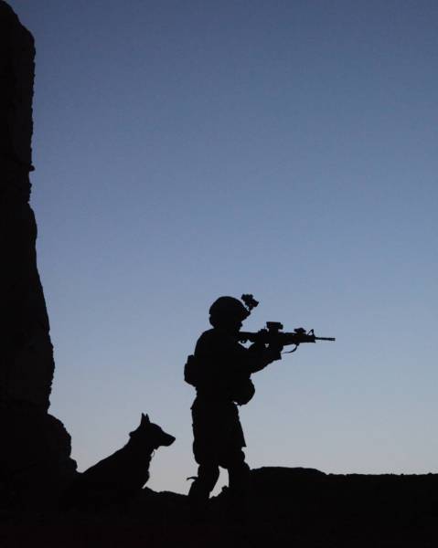 A Day Inside The Life Of A Military Dog (73 pics)