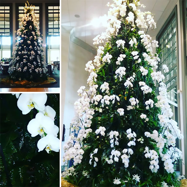 People Are Making Their Christmas Trees Beautiful By Using Flowers (23 pics)