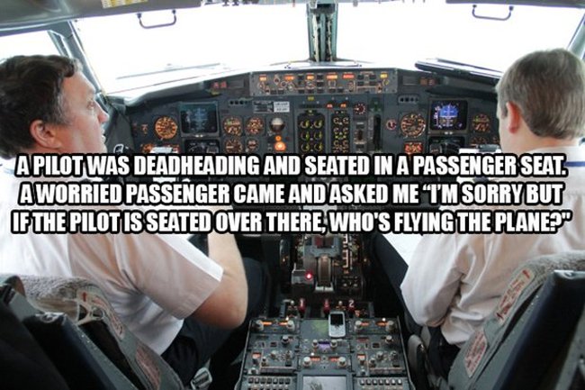 Flight Attendants Reveal The Craziest Things They've Ever Seen On A Plane (16 pics)