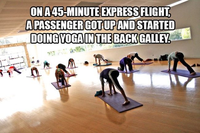 Flight Attendants Reveal The Craziest Things They've Ever Seen On A Plane (16 pics)