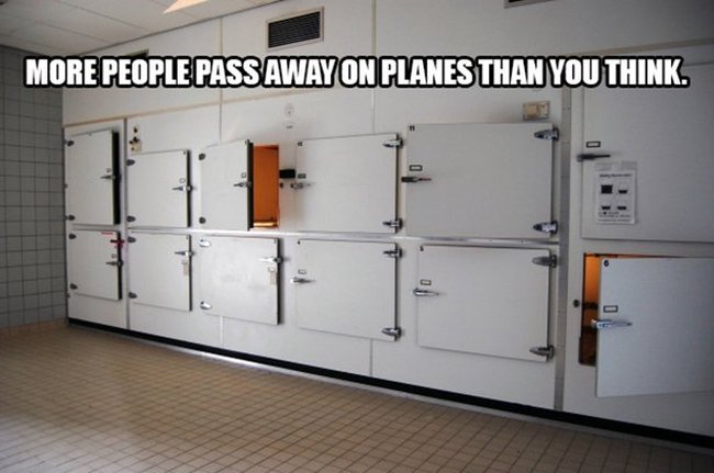 Flight Attendants Reveal The Craziest Things They've Ever Seen On A Plane (16 pics)