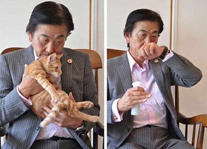 Now You Can Use This Japanese Spray To Make Everything Smell Like A Cat (5 pics)