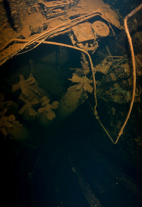 Take A Journey Through Japan's Underwater Graveyard (18 pics)