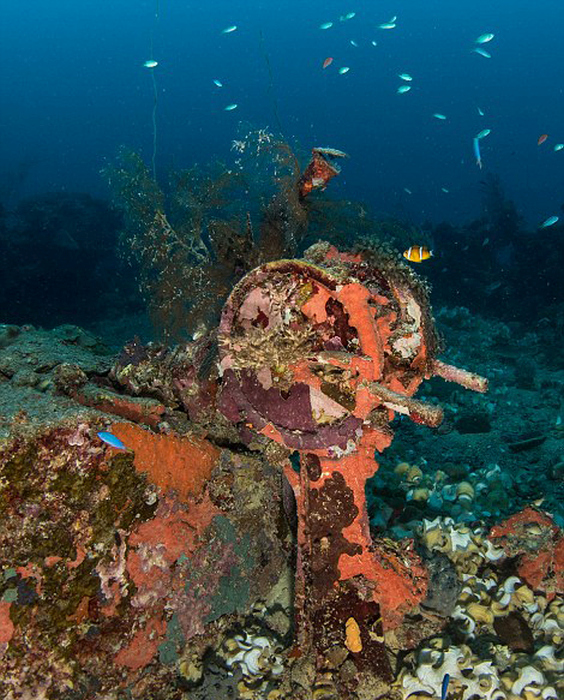 Take A Journey Through Japan's Underwater Graveyard (18 pics)