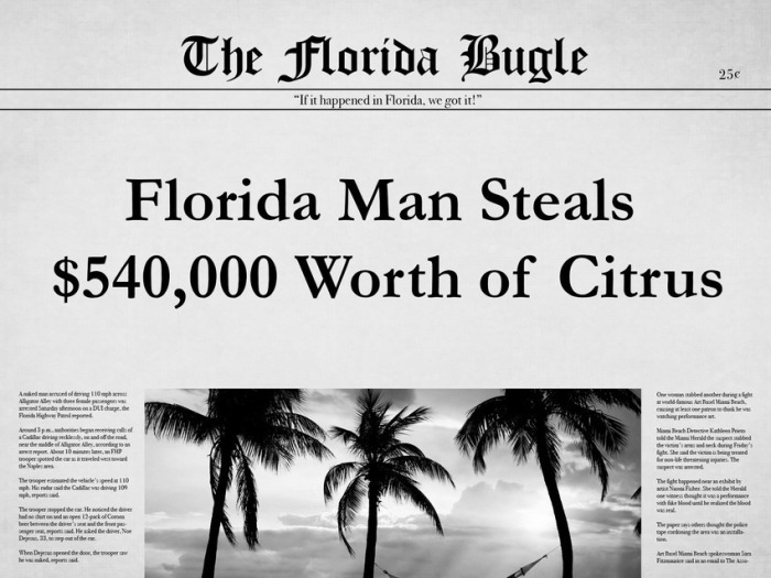 The 25 Most Bizarre News Headlines From Florida In 2015 (25 pics)