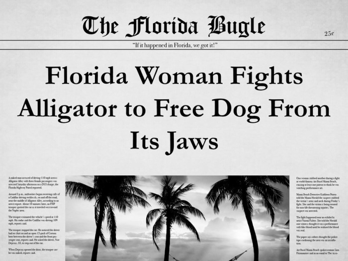 The 25 Most Bizarre News Headlines From Florida In 2015 (25 pics)