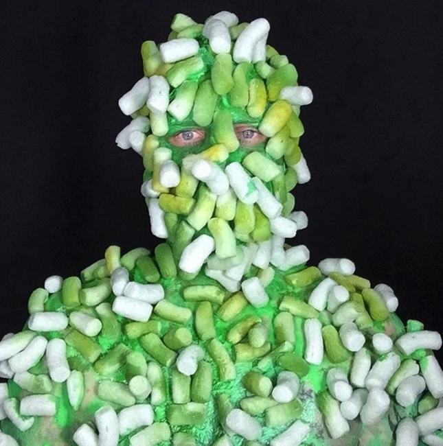 Meet The Man That Wore A Ridiculous Costume Every Day In 2015 (18 pics)