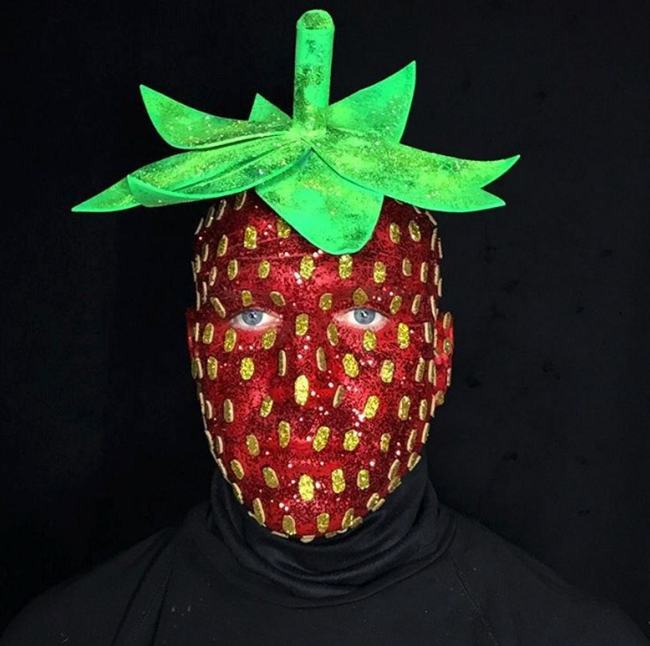 Meet The Man That Wore A Ridiculous Costume Every Day In 2015 (18 pics)