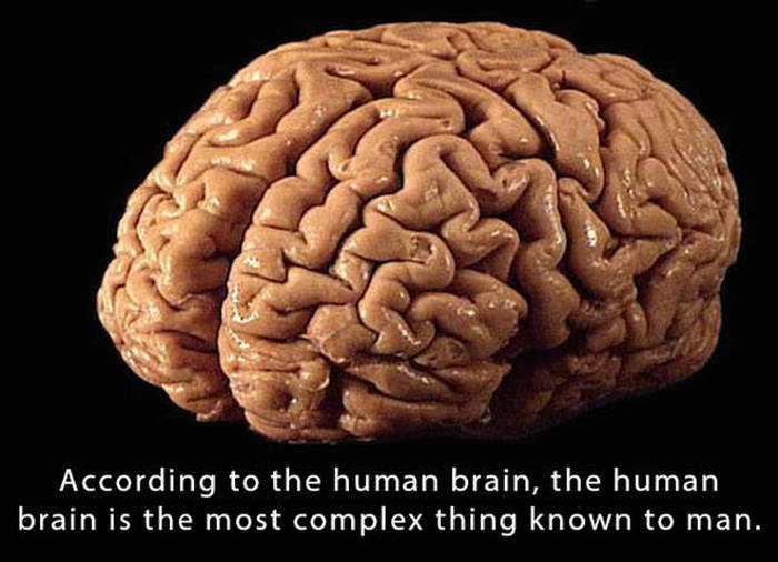 Interesting Facts That Will Blow Your Mind To Pieces (25 pics)