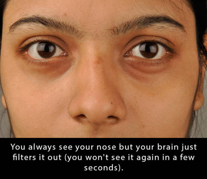 Interesting Facts That Will Blow Your Mind To Pieces (25 pics)