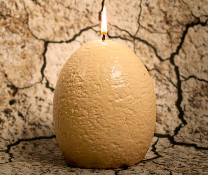 Now You Can Buy A Dinosaur Egg Candle That Hatches As It Melts (3 pics)