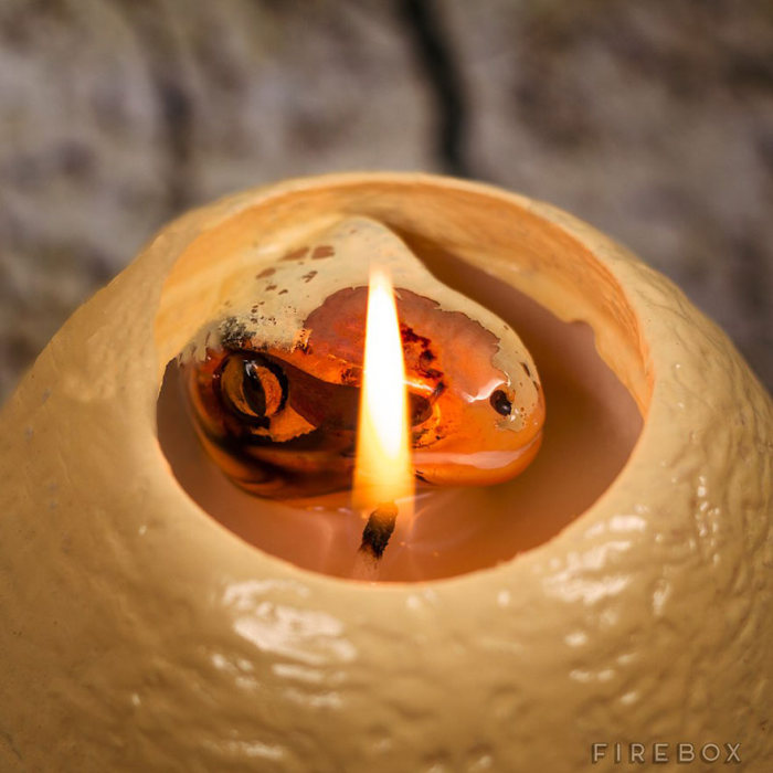 Now You Can Buy A Dinosaur Egg Candle That Hatches As It Melts (3 pics)