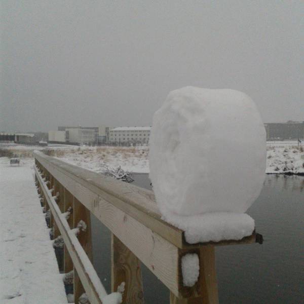 Acid Picdump (120 pics)