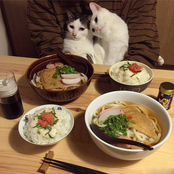 Acid Picdump (120 pics)