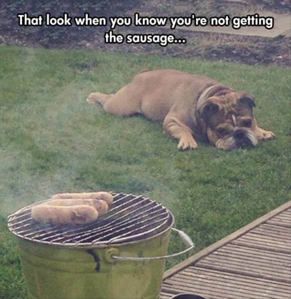 Acid Picdump (120 pics)