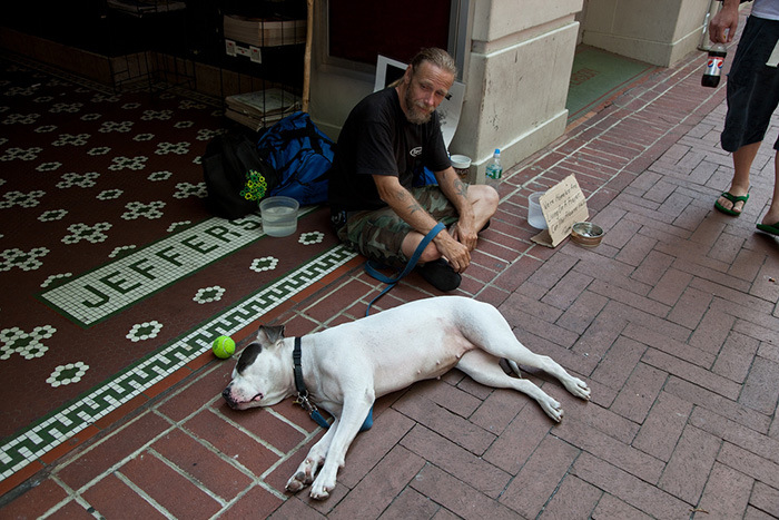 Photos That Prove The Only Thing Dogs Want From You Is Love (33 pics)