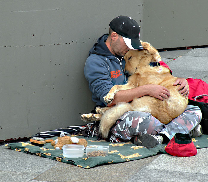 Photos That Prove The Only Thing Dogs Want From You Is Love (33 pics)