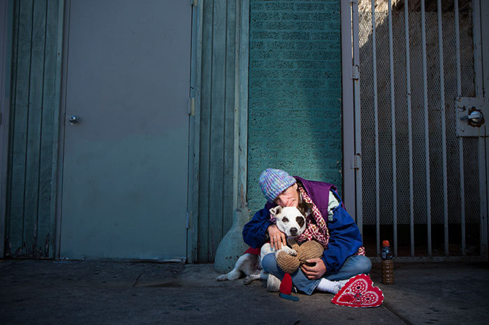 Photos That Prove The Only Thing Dogs Want From You Is Love (33 pics)