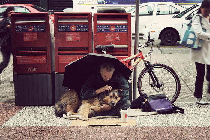 Photos That Prove The Only Thing Dogs Want From You Is Love (33 pics)