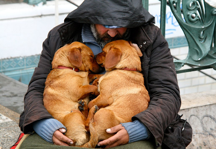 Photos That Prove The Only Thing Dogs Want From You Is Love (33 pics)