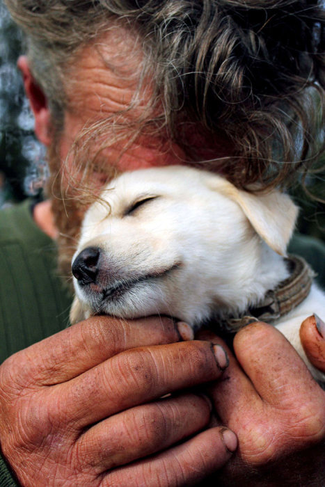 Photos That Prove The Only Thing Dogs Want From You Is Love (33 pics)