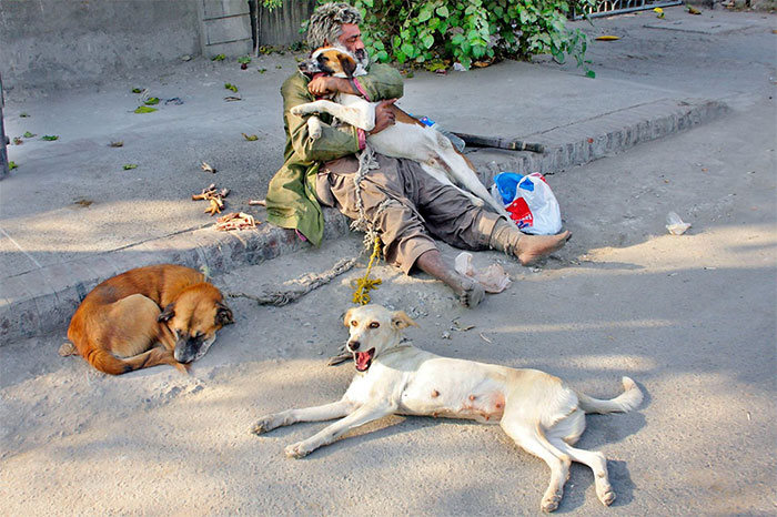 Photos That Prove The Only Thing Dogs Want From You Is Love (33 pics)